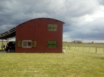 Campo · 150m² · 4 Ambientes · 1 Cochera · Chacra en Venta, General Madariaga.