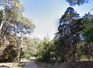 Terreno · 1753m² · Terreno en Cariló de 1752 m² Sobre Vanguardia