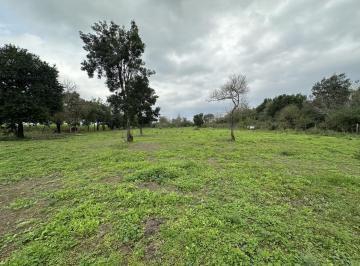 Terreno · 10000m² · Venta de Lote - San Pablo Para Emprendimiento