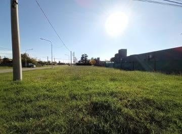 Terreno · 378m² · Terreno en Punta Chacra