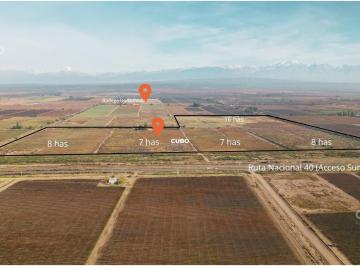 Campo · 250m² · 47 Hectáreas de Campo con Gran Frente en Ruta Nacional 40 (Acceso Sur) Ugarteche, Luján de Cuyo.
