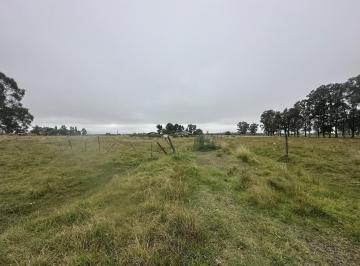 Campo · 60000m² · 3 Ambientes · Campo de 6 Hectáreas a m de Ruta 6, San Vicente.