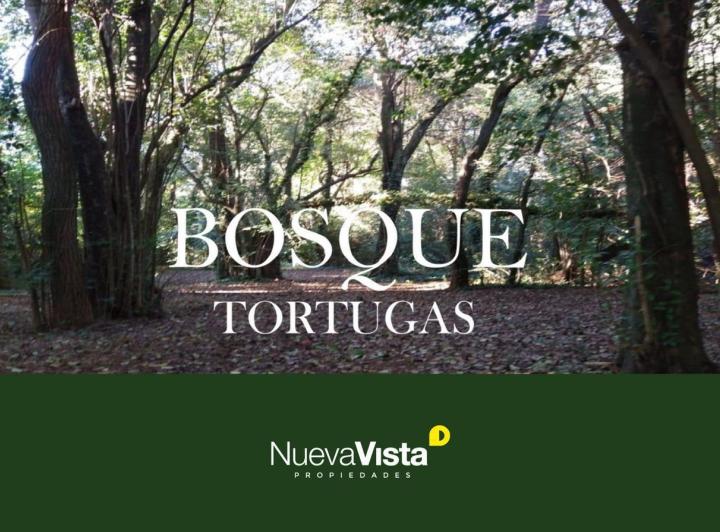 Desarrollo vertical · Bosque Tortugas