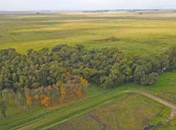Campo · 7870000m² · Olavarria - 787 Ha Ganadero