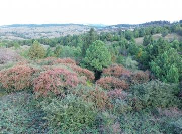 Terreno , Villa Berna · Se Vende Lote de 1,15 Ha (11.565 M²) en Villa Berna - Córdoba