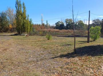 Casa de 5 ambientes, Vista Alegre · Chacra 3ha con Casa 3 Dorm. en Vista Alegre