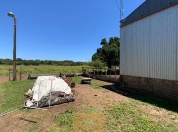 Campo · 250m² · 3 Ambientes · En Venta 24 Has Casa, Galpón Capilla de Los Remedios