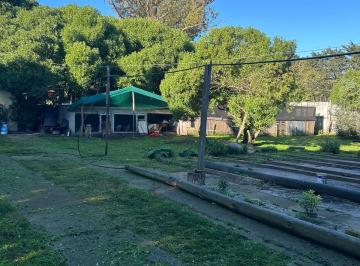 Quinta vacacional de 5 ambientes, Mar del Plata · Campo con Potencial Productivo y Actividades Múltiples en Mar del Plata
