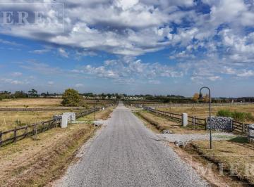 Terreno · 10000m² · Lote en Venta de 10.000 m² en Chacras de Zelaya