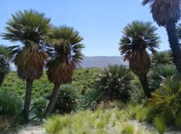 Terreno · 1200m² · Papagayos, San Luis Vendo Lote 1200 m² C/escritura Super Oferta Contado!