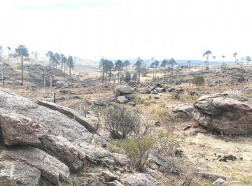 Campo · 140000m² · Yacanto Calamuchita Vendo 14 Ha Oportunidad! Escritura Cba