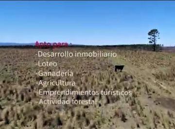 Campo · 2600000m² · Campo 240 Ha Vendo Yacanto Calamuchita Escritura, Pipí Cucú!