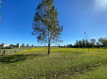 Terreno , San Vicente · Venta Lote Fincas de San Vicente Sporting