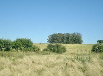 Terreno · 140000m² · Campo en Venta - 14 Hectáreas - Punta del Este