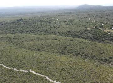 Terreno · 70000m² · Campo de 6 Ha en Venta en Rodeo de Piedra, Escritura!, Traslasierras