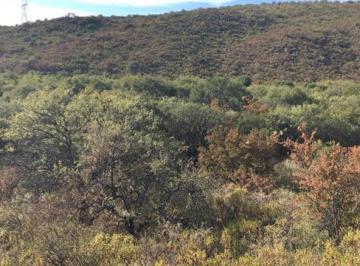 Campo · 186000m² · Campo en Venta en Yacanto