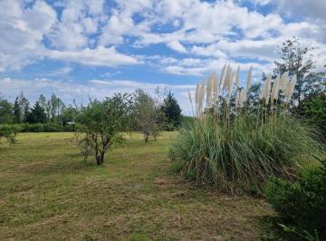 Terreno · 4338m² · Terreno en Venta en Barrio San Onofre, San Javier, Traslasierra!