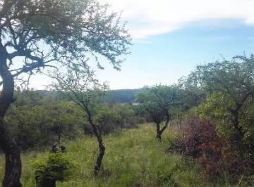 Terreno · 5000m² · Terreno de Media Hectarea en Venta en Las Rabonas, Traslasierras