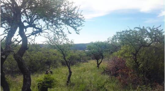 Terreno · 5000m²