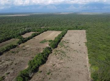 Campo · 140000m² · Campo de 13 Ha en Venta en Conlara, Traslasierra!