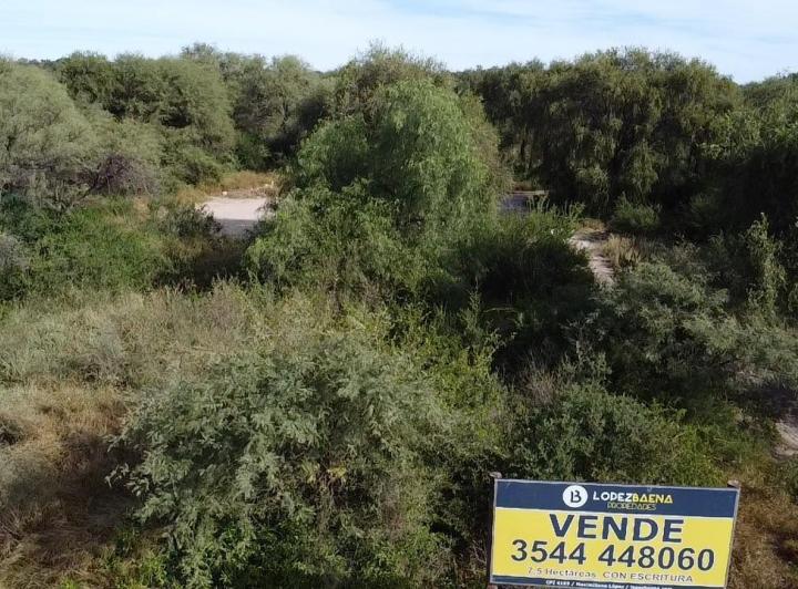 Terreno · 70000ha