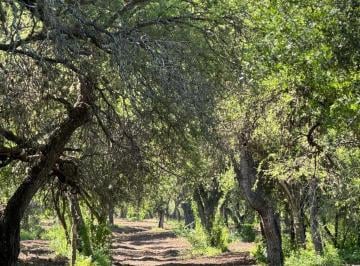 Terreno · 3000m² · Terrenos Desde 3 Mil m² en Venta en San Javier, Traslasierra!