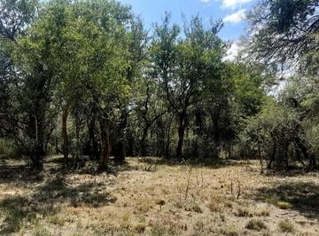 Terreno · 4000m² · Terreno en Venta, Hermoso, Naturaleza a Pleno. Camino Barranca de Los Loros en Traslasierras!