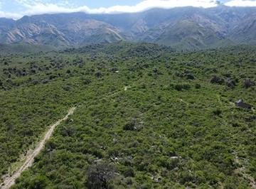 Terreno · 9016m² · Terreno en Venta en Rodeo de Piedra, Hermosisimo, Traslasierra!