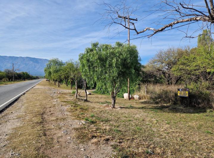 Terreno · 6325m²
