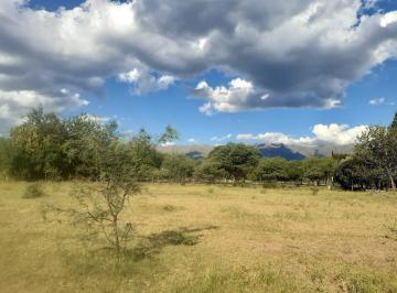 Terreno · 979m² · Terreno en Venta en Las Tapias, Vistas, Traslasierras!