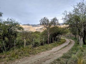 Terreno · 5000m² · Terreno Maravilloso en Venta en Las Achiras Abajo, Traslasierra!