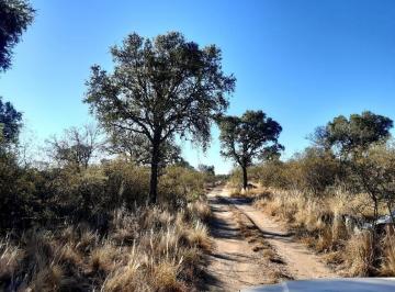 Terreno · 10000m² · Vendemos Preciosa Hectárea en Yacanto, Traslasierra!