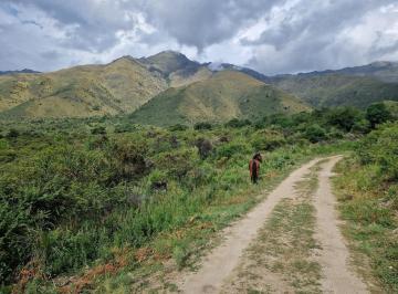 Campo · 500000000m² · Campo en Venta en San Javier, 5 Ha, Traslasierra!