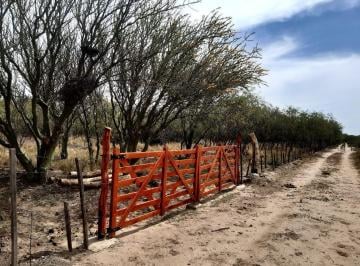Terreno · 10000ha · Una Hectárea en Venta en Villa Dolores, Traslasierra!