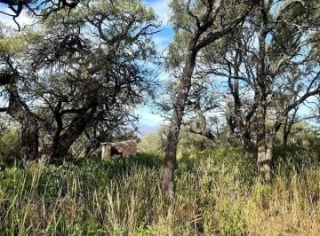 Terreno · 300000000ha · 3 Ha en Venta en Las Tapias, Escritura. Traslasierra!