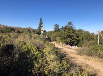 Terreno , Cortaderas · Fracción 15.000 m en Venta en Villa Elena - Permuta
