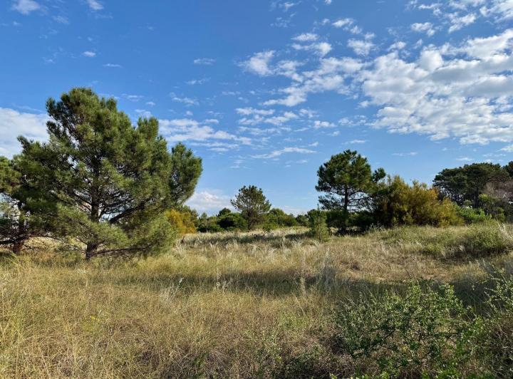 Terreno · 518m²
