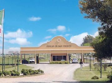Terreno , San Vicente · Importante Lote - Lote de 1076 m²