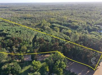 Campo · 210000m² · Chacra de 21 Ha Sobre Rio Paraná de Las Palmas y Correntino