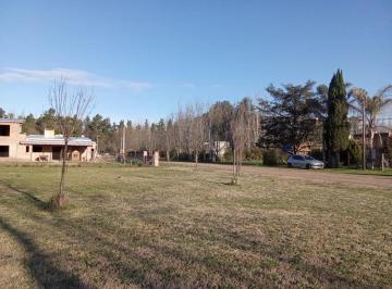 Terreno , Lobos · Hermoso Lote en Salvador Maria. Zona Alta. Acceso por Ruta. Servicios.