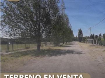 Terreno , San Rafael · Vendo Terreno - B°ciruelos - Las Paredes