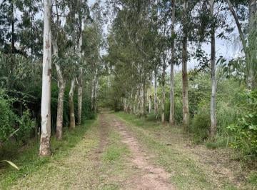 Terreno · 5000m² · Terreno 5000 m² en Arturo Seguí - Lindero Al Arroyo - Ideal Quinta o Inversión