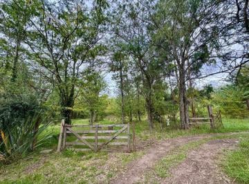 Terreno · 5000m² · Lote Quinta 5000 m² en Arturo Seguí La Plata - Arroyo San Juan - Financiado en Cuotas