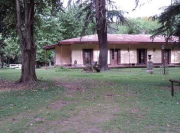 Campo · 250m² · 15 Ambientes · Campo en Alquiler - 14 Dorm. 4 Baños - 50.000 m² - Tristán Suarez