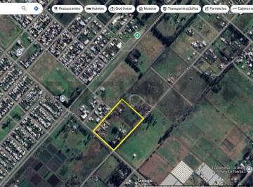 Terreno · 300m² · 54 Entre 171 y 173 Lote en Venta La Plata