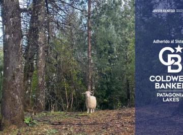 Terreno · 808m² · Venta Terreno / Lote 800 m² B° Las Balsas Villa La Angostura