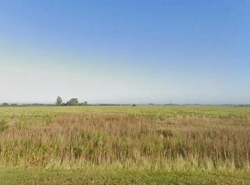 Campo · 290000m² · Campo de 29 Hectáreas en Arminda