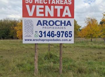Campo · 500000m² · Campo en Venta de 50 Ha en Florencio Varela Ruta 53 y Ruta 6