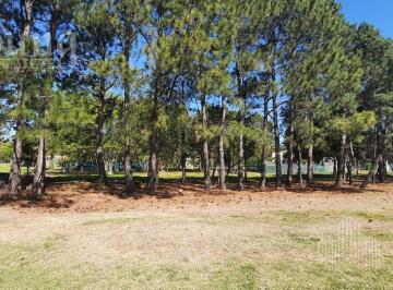 Terreno · 800m² · Terreno Venta en Greeville Polo Resort