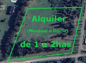 Campo , Santa Clara del Mar · Alquiler Campo 1 o 2 Ha